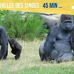 Beau-jean, Un Cocon Sympa 5 Min A Pied Du Centre-ville, Parking Prive, A 10 Min Du Chu شقة