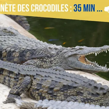 Beau-jean, Un Cocon Sympa 5 Min à Pied Du Centre-ville, Parking Privé, à 10 Min Du Chu Appartement