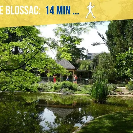 شقة Beau-jean, Un Cocon Sympa 5 Min A Pied Du Centre-ville, Parking Prive, A 10 Min Du Chu *