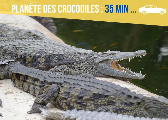 Beau-jean, Un Cocon Sympa 5 Min A Pied Du Centre-ville, Parking Prive, A 10 Min Du Chu アパート