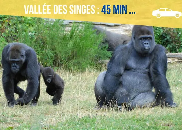 Beau-jean, Un Cocon Sympa 5 Min A Pied Du Centre-ville, Parking Prive, A 10 Min Du Chu アパート