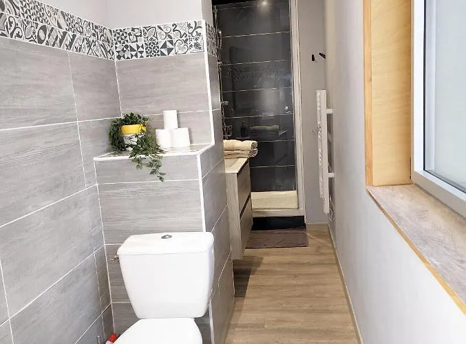 Beau-jean, Un Cocon Sympa 5 Min A Pied Du Centre-ville, Parking Prive, A 10 Min Du Chu *