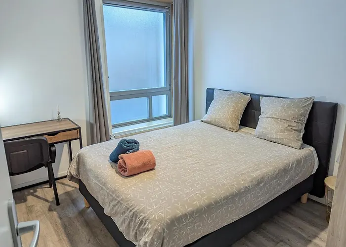 Beau-jean, Un Cocon Sympa 5 Min A Pied Du Centre-ville, Parking Prive, A 10 Min Du Chu