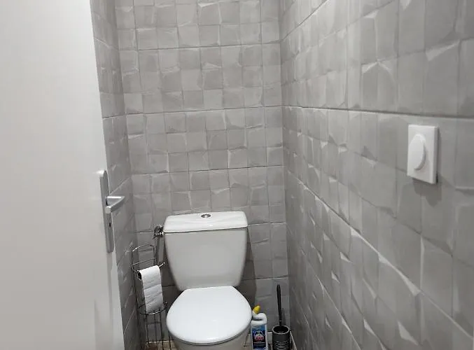 Beau-jean, Un Cocon Sympa 5 Min A Pied Du Centre-ville, Parking Prive, A 10 Min Du Chu